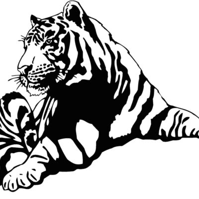 tiger08 Thumbnail