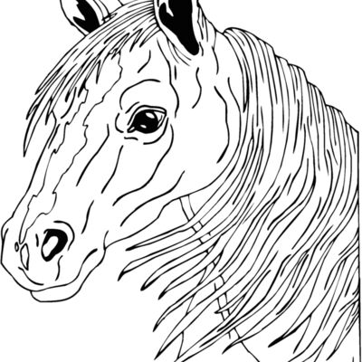 horsehead04 Thumbnail