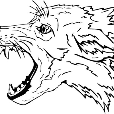 wolf Thumbnail