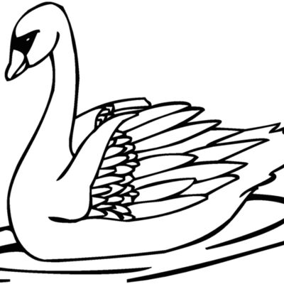 swan Thumbnail