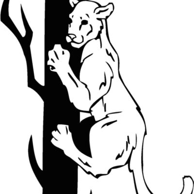 climbincougar Thumbnail