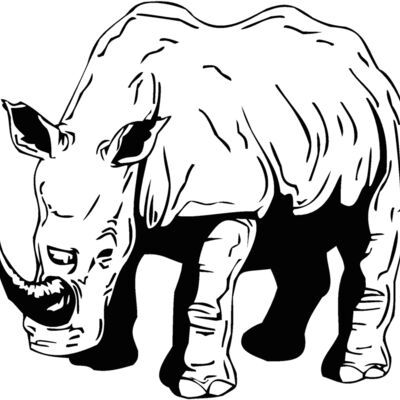 rhino2 Thumbnail