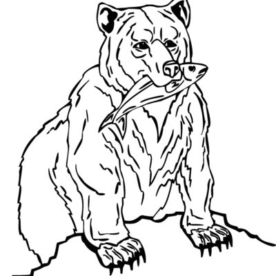 bearwithfish Thumbnail