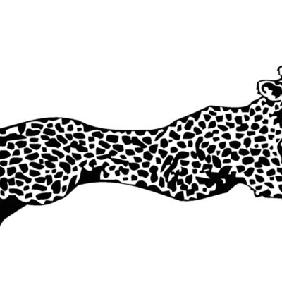 cheetah Thumbnail