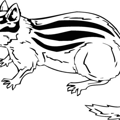 chipmunk Thumbnail
