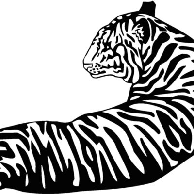 tiger07 Thumbnail
