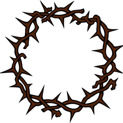 crownofthorns4 Thumbnail