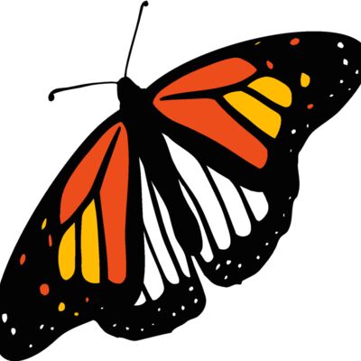 butterfly2 Thumbnail