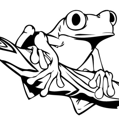frog12 Thumbnail