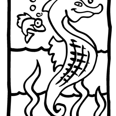 seahorse01 Thumbnail