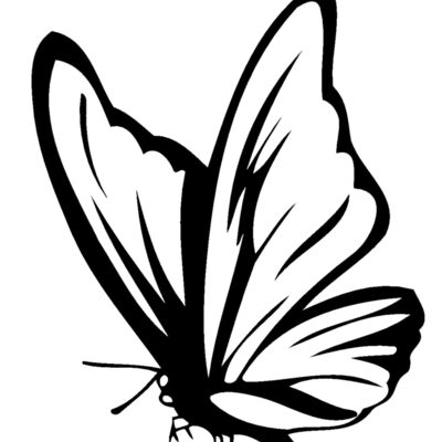 butterfly01 Thumbnail