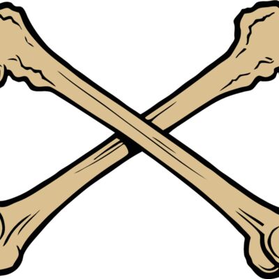 esbones002clr Thumbnail