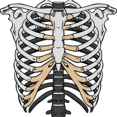 es2bones003clr Thumbnail