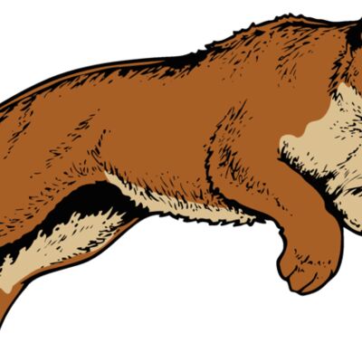 cougar11v4clr  2  Thumbnail