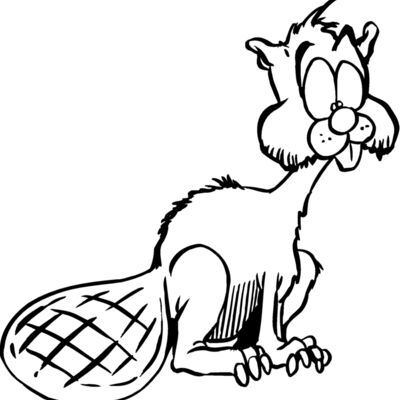 beaver3 Thumbnail