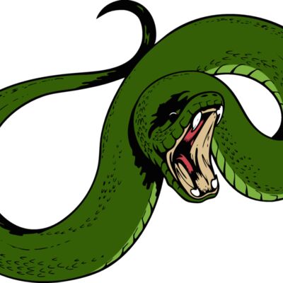 snake08v4clr Thumbnail