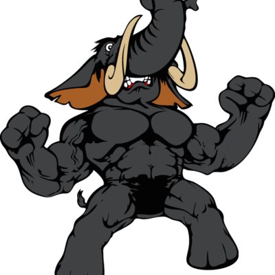 elephant01v4clr Thumbnail