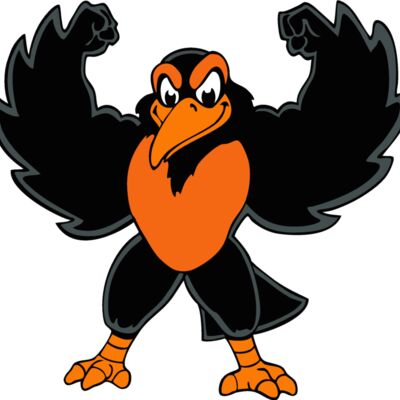 oriolemsct01 Thumbnail