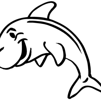 dolpin27 Thumbnail