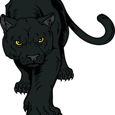 cougar02v4clr  2  Thumbnail