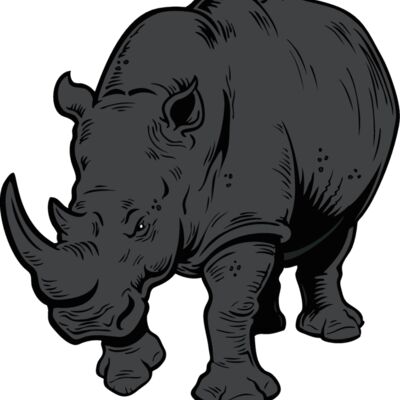 rhino06v4clr Thumbnail