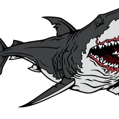 shark01v4clr Thumbnail