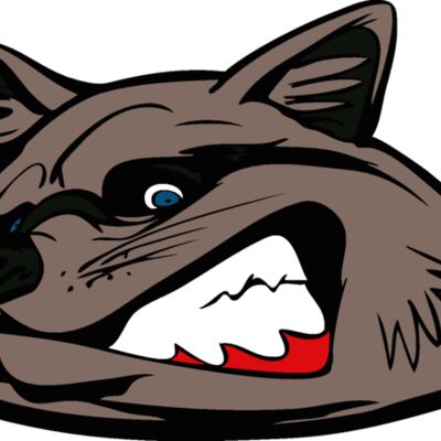 raccoonhd02 Thumbnail