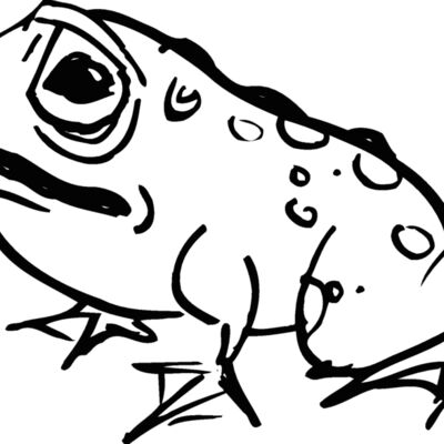 frog1 Thumbnail
