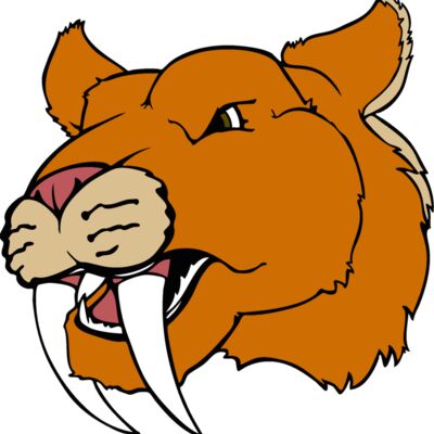 sabercathd3 Thumbnail