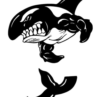 killerwhale03 Thumbnail