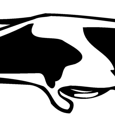 mantaray02 Thumbnail