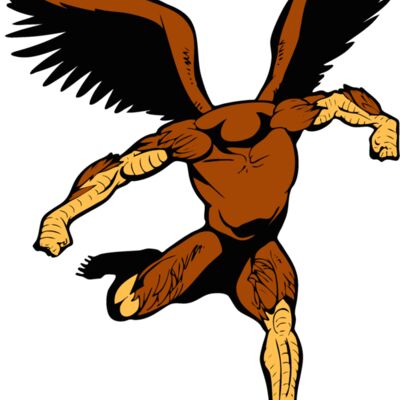 birdbody02 Thumbnail