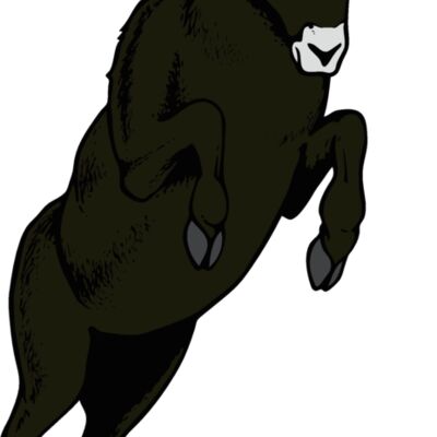 ram06v4clr Thumbnail