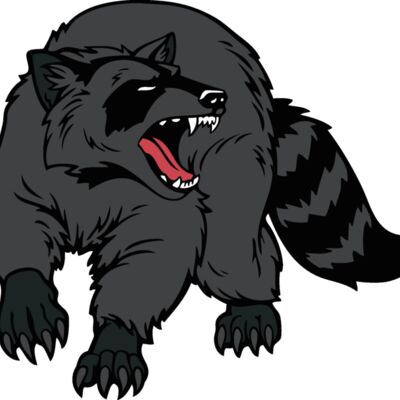 raccoonjk7 Thumbnail