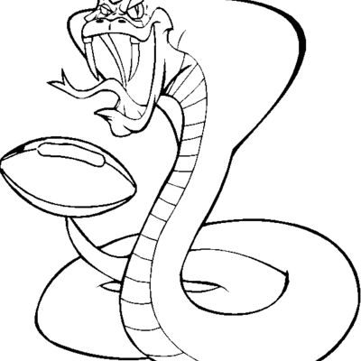 cobraftblbns Thumbnail