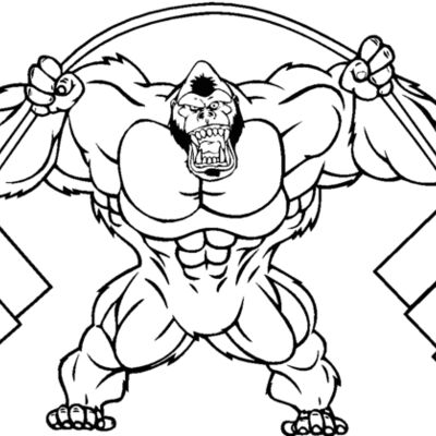 gorillaweights Thumbnail