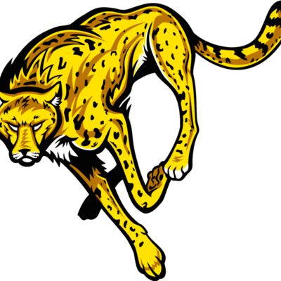 cheetahj021 Thumbnail