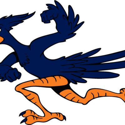 roadrunner2 Thumbnail