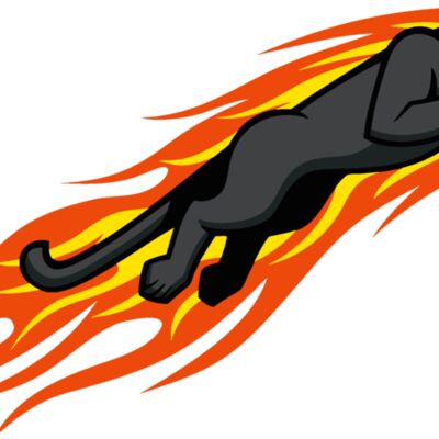 flamingpanther01 Thumbnail