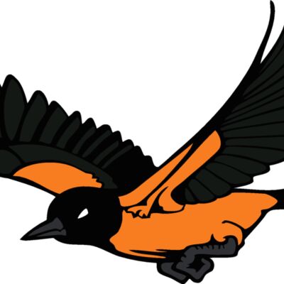 oriolemsct7 Thumbnail