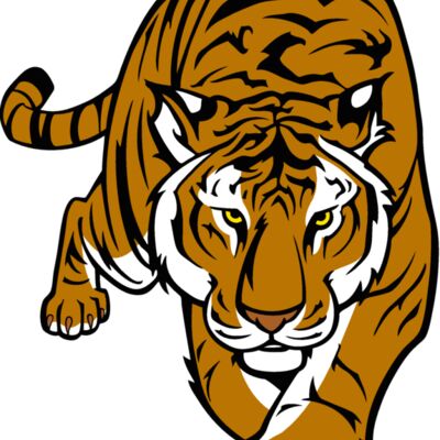 tiger12v4clr Thumbnail