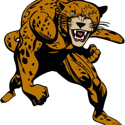 panjaguarg1 Thumbnail