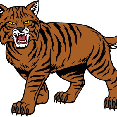 wildcat04v4clr Thumbnail