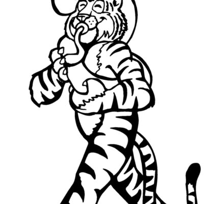 tiger band Thumbnail