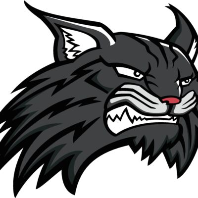 wildcat11v4clr Thumbnail