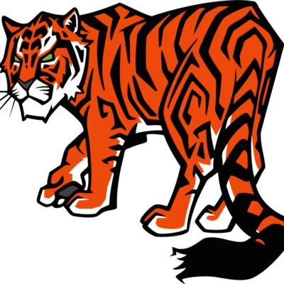 tiger14v4clr Thumbnail