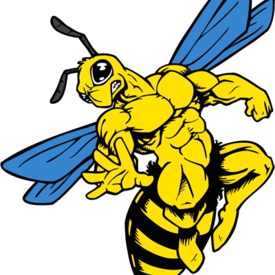 yellowjkt2 Thumbnail