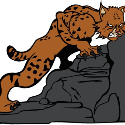 wildcatbc5 Thumbnail