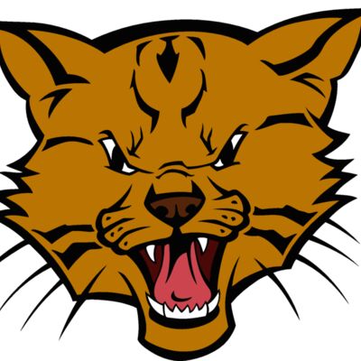 wildcat03v4clr  2  Thumbnail