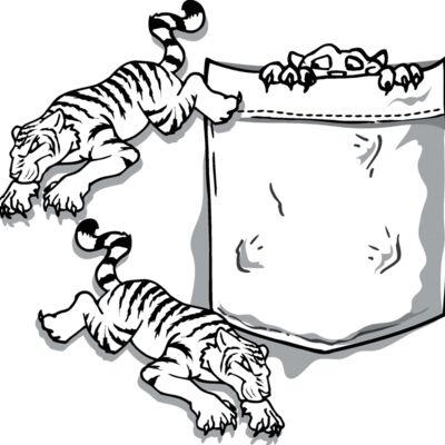tiger pocket Thumbnail